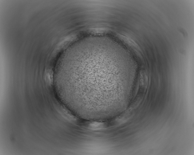 X0000115250718200911131724