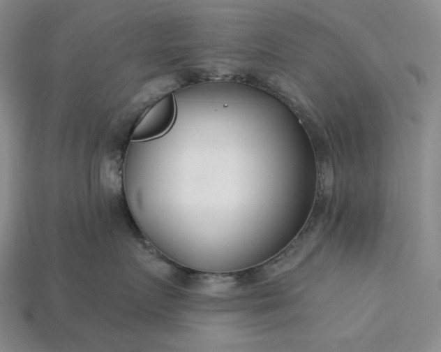 X0000115250719200911131724