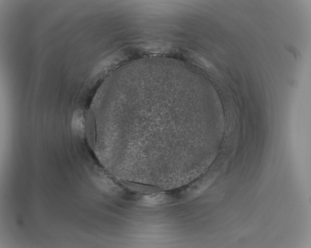 X0000115250720200911131724