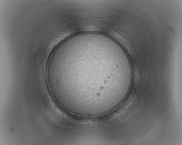 X0000115250721200911131723