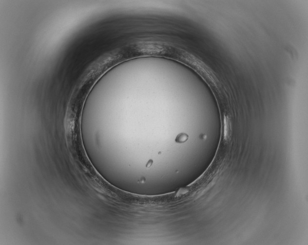 X0000115250723200911131723