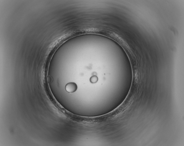 X0000115250725200911131723