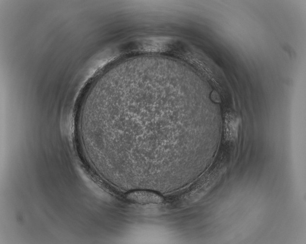 X0000115250726200911131723