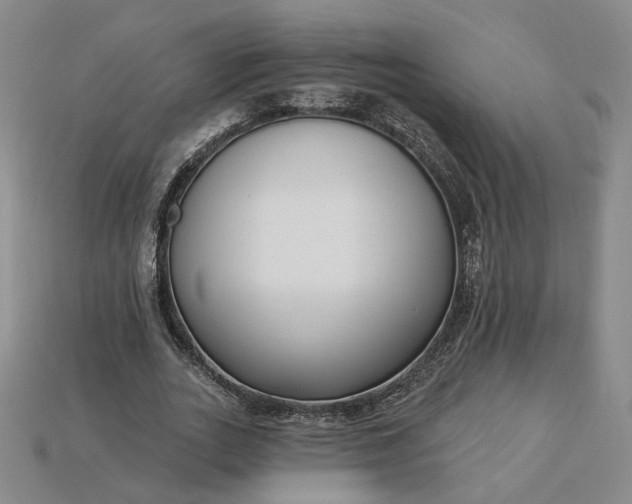 X0000115250727200911131724