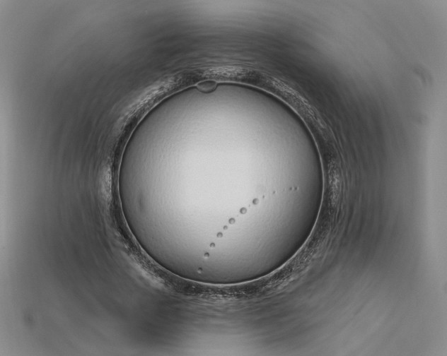 X0000115250729200911131724