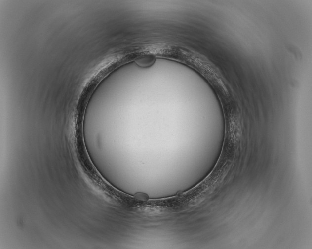 X0000115250730200911131724