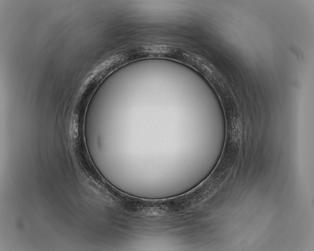 X0000115250731200911131724