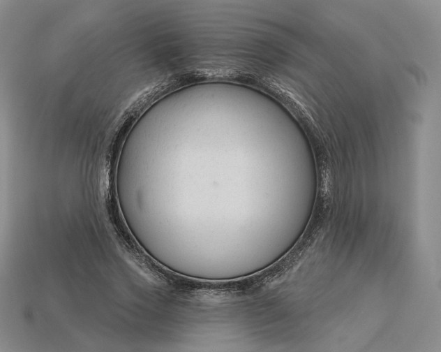 X0000115250733200911131724