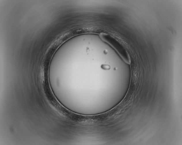 X0000115250734200911131724