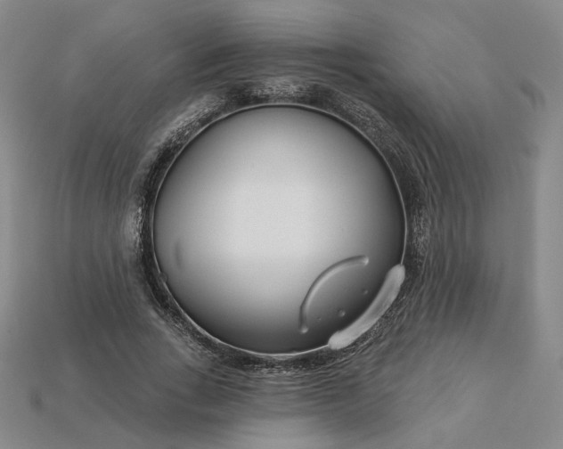 X0000115250735200911131724