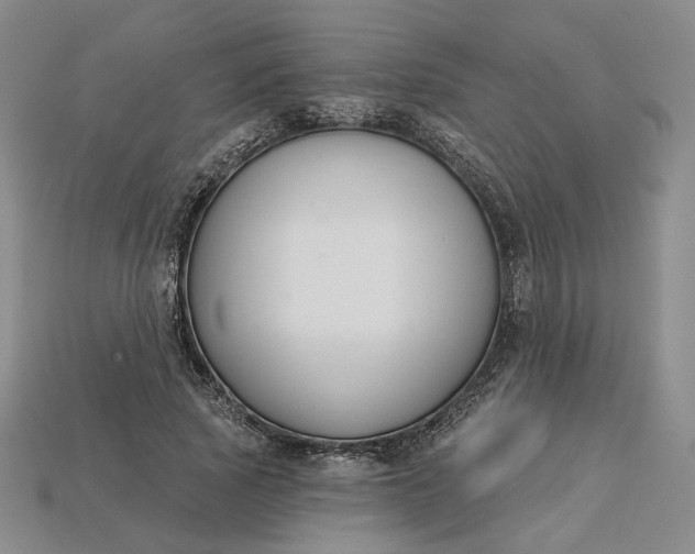 X0000115250737200911131724