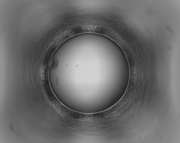 X0000115250738200911131724