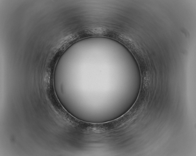 X0000115250739200911131724