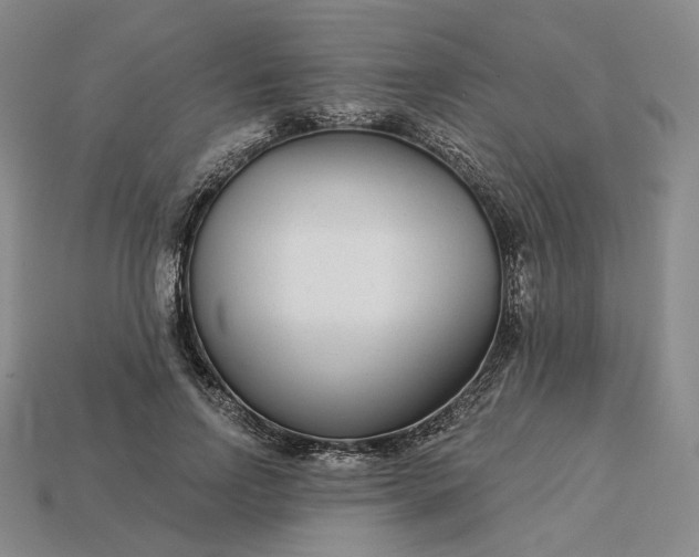 X0000115250742200911131724