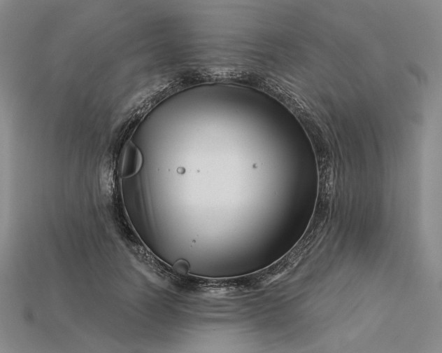 X0000115250746200911131724