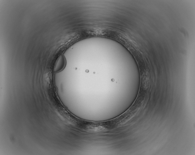 X0000115250747200911131724