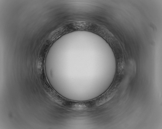 X0000115250749200911131724