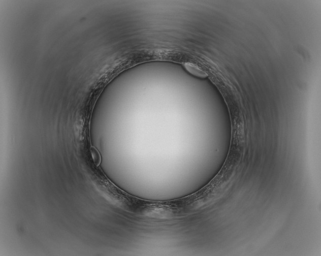 X0000115250750200911131724