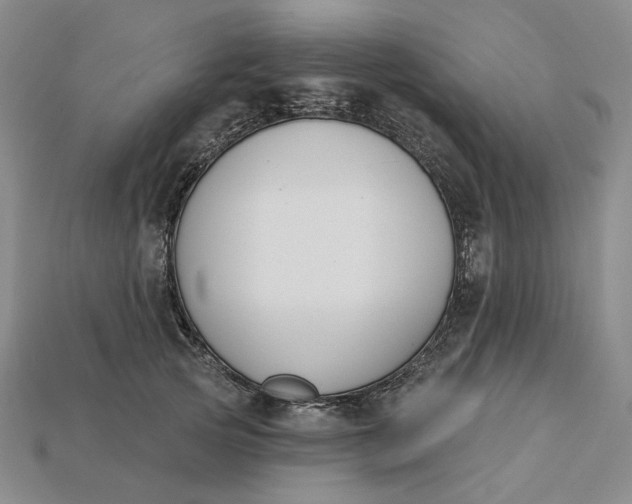 X0000115250753200911131724