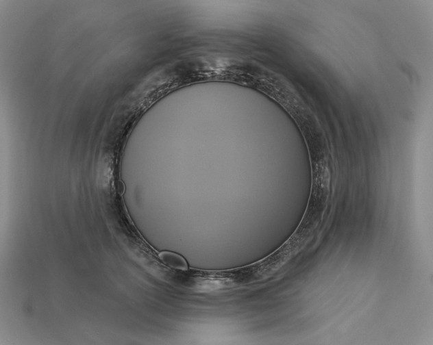 X0000115250754200911131724