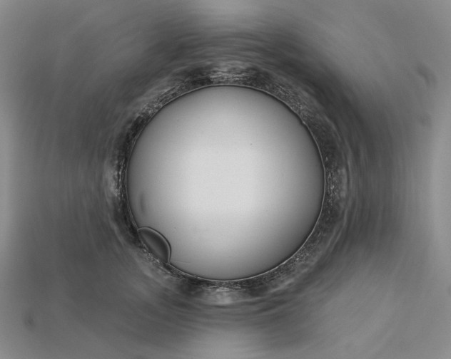 X0000115250755200911131724