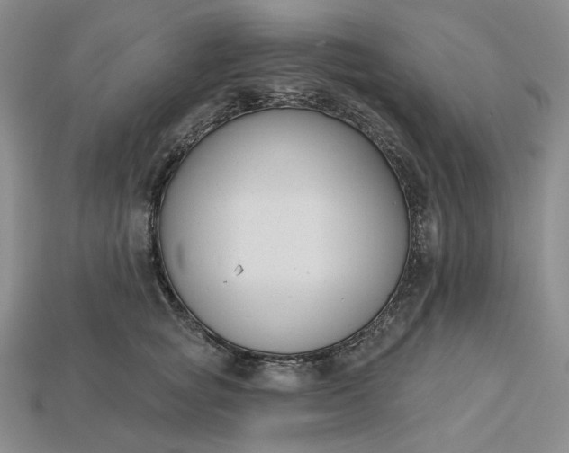 X0000115250757200911131724