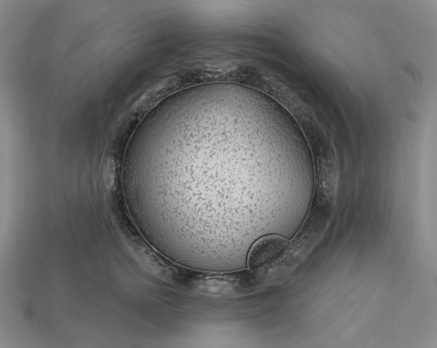 X0000115250758200911131724