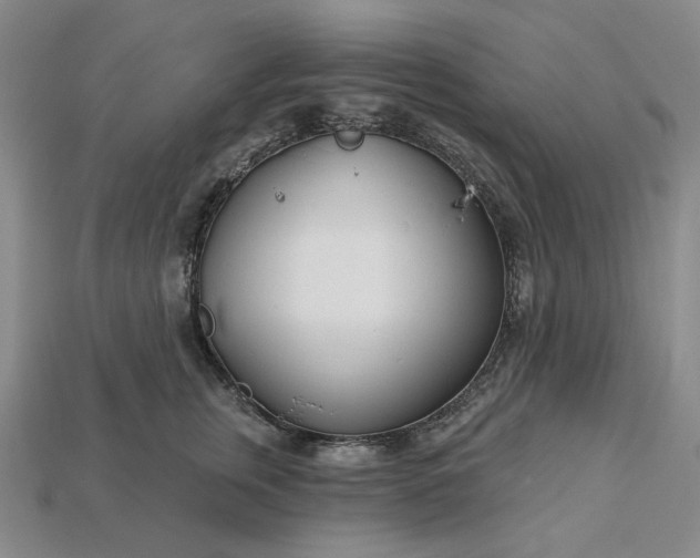 X0000115250759200911131724