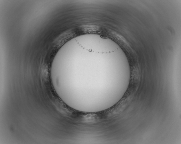 X0000115250761200911131724