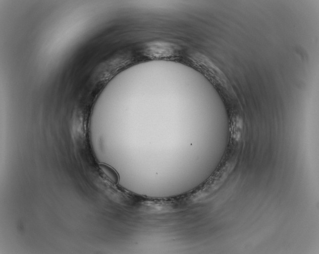 X0000115250763200911131724