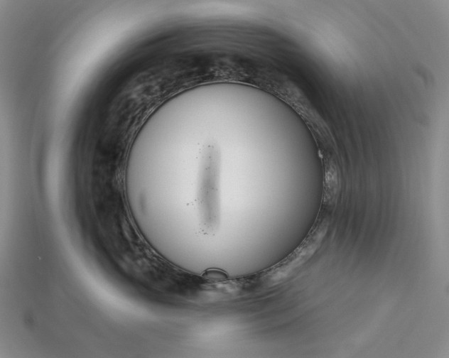 X0000115250765200911131724