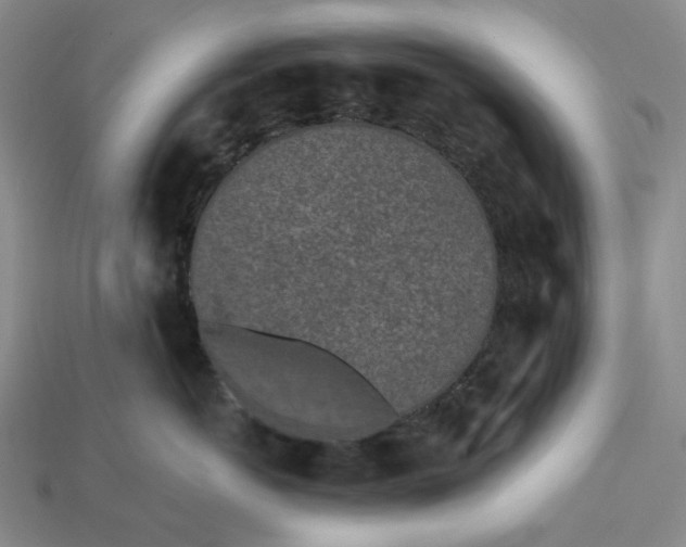 X0000115250766200911131724