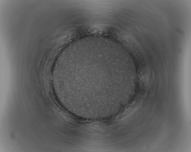 X0000115250769200911131723