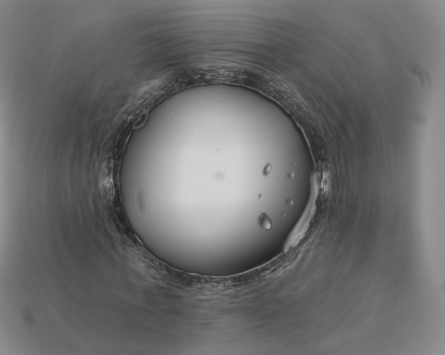 X0000115250771200911131723