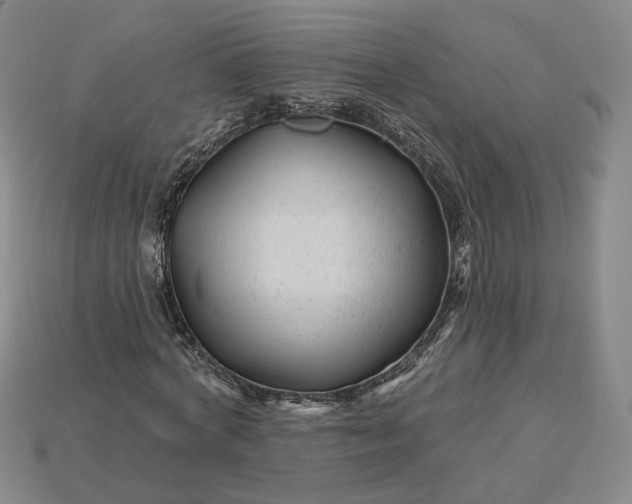 X0000115250772200911131723