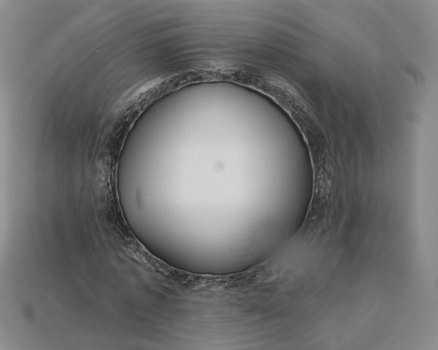 X0000115250773200911131723