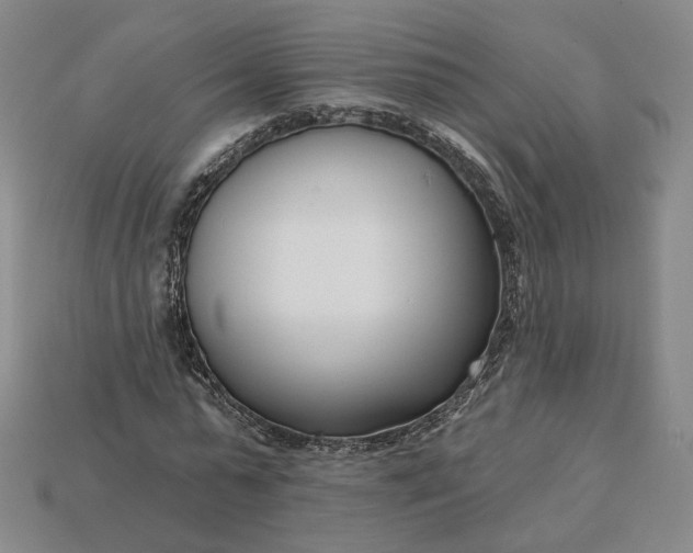 X0000115250775200911131723