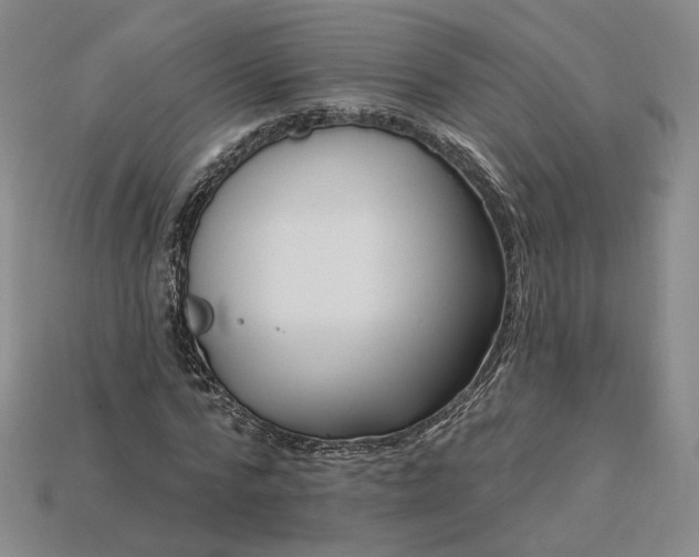 X0000115250776200911131723