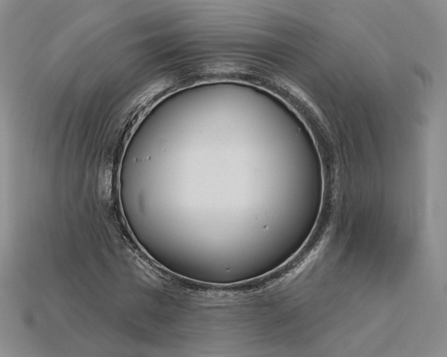 X0000115250777200911131723