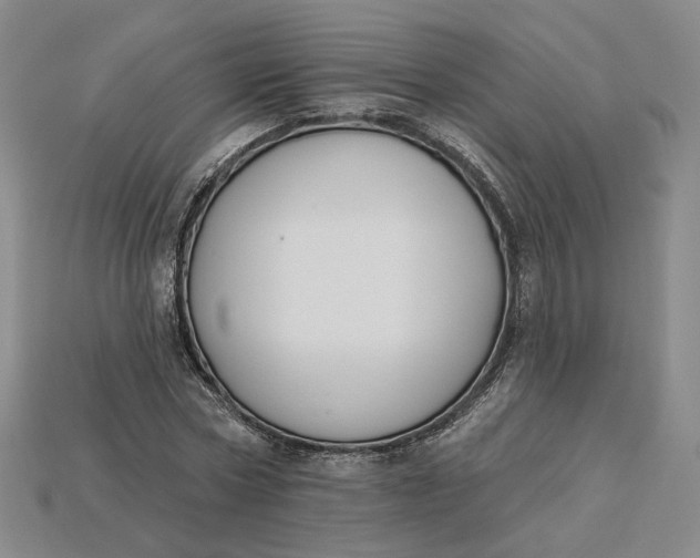 X0000115250778200911131723