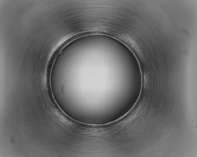 X0000115250780200911131723