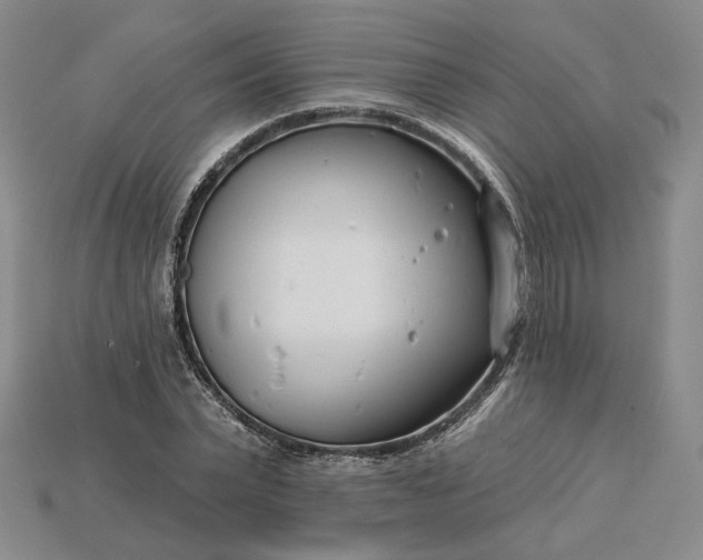 X0000115250783200911131723