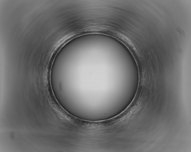 X0000115250786200911131723