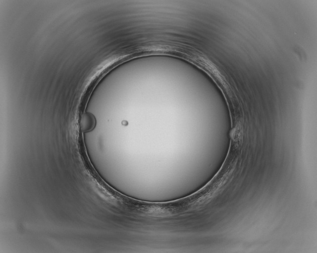 X0000115250787200911131723