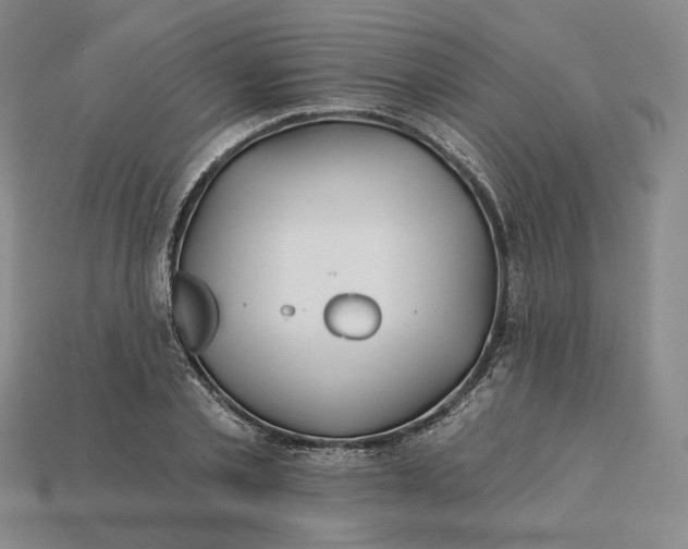 X0000115250789200911131723