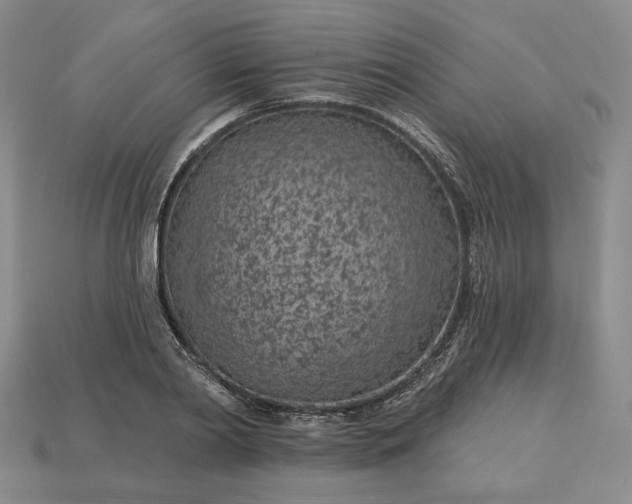 X0000115250790200911131723