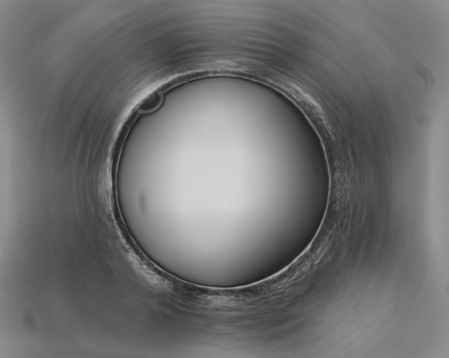 X0000115250792200911131723