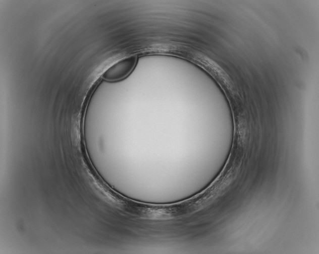 X0000115250794200911131723