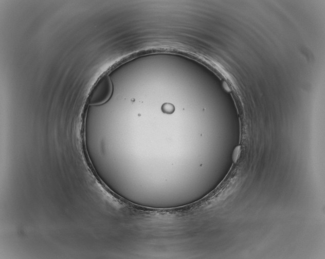 X0000115250799200911131723