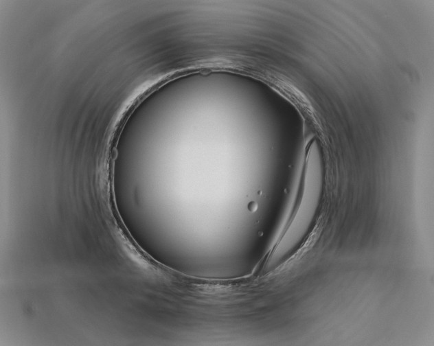 X0000115250800200911131723